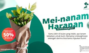 Tren Baru Rayakan Ulang Tahun, LindungiHutan Dorong Aksi Nyata Lewat Donasi Pohon. Foto : viralsumsel.com