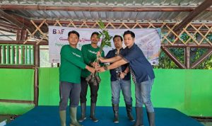 Upaya Restorasi Ekosistem, 1 Juta Pohon Tertanam Lewat Aksi Kolektif. Foto: viralsumsel.com