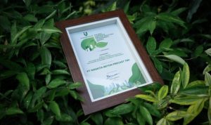 WSBP Terima Penghargaan pada The Best Corporate Emmision Reduction Transparency Awards 2025. Foto: viralsumsel.com