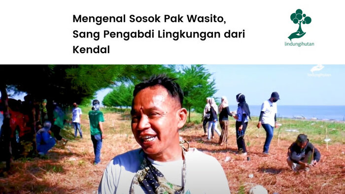 Gerakan Hijau Komunitas Mangrove Kendal Pulihkan Ekonomi Pesisir. Foto: viralsumsel.com