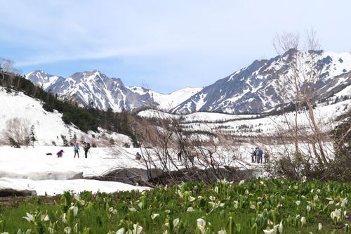 Desa Otari di Nagano “Taman Alam Tsugaike” Dibuka pada 7 Juni. Foto : viralsumsel.com