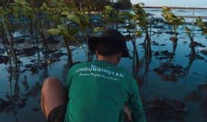 Donasi Mikro Kini Jadi Solusi Pemulihan Ekosistem di Program LindungiHutan. Foto: viralsumsel.com