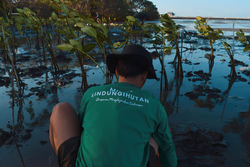 Donasi Mikro Kini Jadi Solusi Pemulihan Ekosistem di Program LindungiHutan. Foto: viralsumsel.com