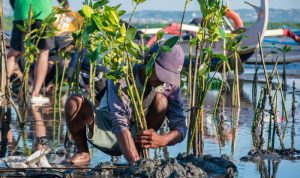 Hari Lingkungan Hidup Sedunia 2025, Kunci Pulihkan Alam. Foto: viralsumsel.com