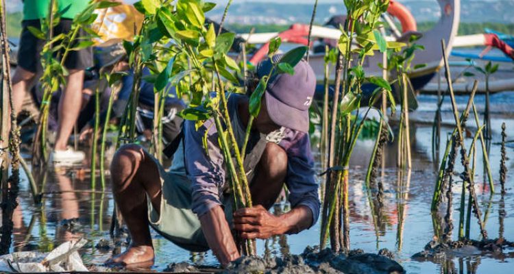 Hari Lingkungan Hidup Sedunia 2025, Kunci Pulihkan Alam. Foto: viralsumsel.com