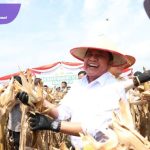 Gubernur Herman Deru Apresiasi Polda Sumsel Panen Raya Jagung 8 Ton/hektar Dukung Ketahanan Pangan Nasional. Foto : viralsumsel.com /win