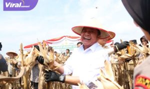 Gubernur Herman Deru Apresiasi Polda Sumsel Panen Raya Jagung 8 Ton/hektar Dukung Ketahanan Pangan Nasional. Foto : viralsumsel.com /win