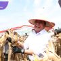 Gubernur Herman Deru Apresiasi Polda Sumsel Panen Raya Jagung 8 Ton/hektar Dukung Ketahanan Pangan Nasional. Foto : viralsumsel.com /win
