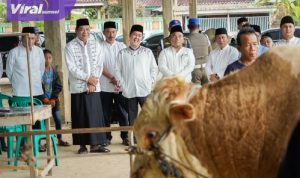 802 Kg! Sapi Raksasa dari Prabowo Jadi Kurban di Muba, Begini Respons Warga. Foto : viralsumsel.com /win