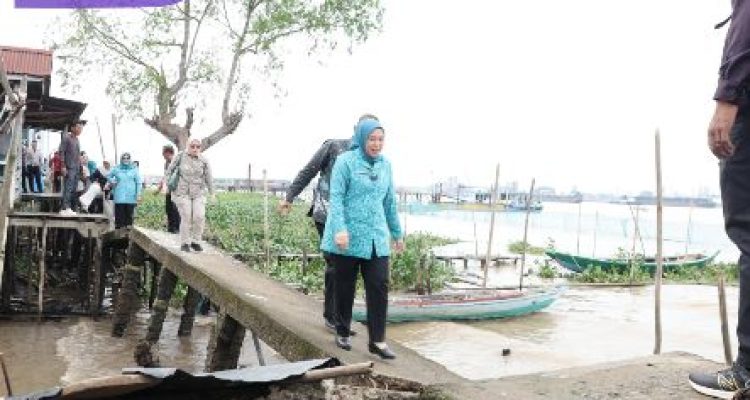 Ketua TP PKK Palembang Tinjau Pelayanan Kesehatan Bagi Masyarakat Terpencil di Pulau Kemaro. Foto : viralsumsel.com /win