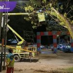 Respons Cepat BPBD Muba Pangkas Pohon Rawan Tumbang, Bupati H M Toha Berikan Apresiasi. Foto : viralsumsel.com /dev