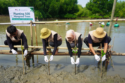 KAI Logistik Tanam 500 Mangrove. Foto : viralsumsel.com