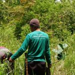 LindungiHutan Dorong Perusahaan Perluas Dampak CSR. Foto: viralsumsel.com