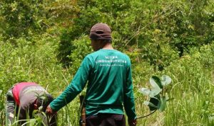 LindungiHutan Dorong Perusahaan Perluas Dampak CSR. Foto: viralsumsel.com