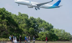 Pesisir Terancam, Mangrove Menjawab: Data Kerusakan dan Aksi Perbaikan 2025. Foto: viralsumsel.com