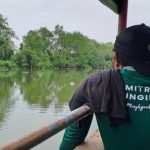 Upaya LindungiHutan Rehabilitasi Mangrove di Kota Pesisir. Foto: viralsumsel.com