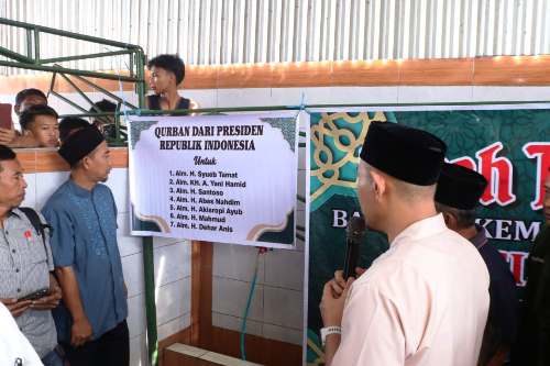 Wali Kota Lubuk Linggau Serahkan Sapi Kurban dari Presiden RI. Foto : viralsumsel.com /ril