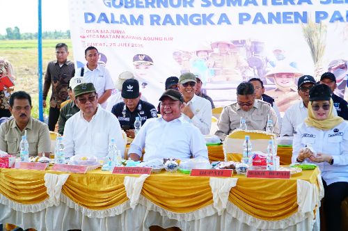 Gubernur Herman Deru Panen Raya Padi IP 200 di Banyuasin: Bukti Konsistensi Petani dan Dukungan Pemprov Sumsel