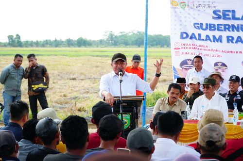 Gubernur Herman Deru Panen Raya Padi IP 200 di Banyuasin: Bukti Konsistensi Petani dan Dukungan Pemprov Sumsel