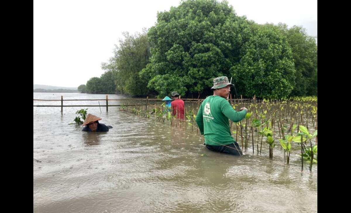 LindungiHutan Ajak Publik Lestarikan Alam di Hari Konservasi Alam Sedunia. Foto: Viralsumsel.com