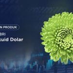 Reksa Dana Pasar Uang BRI Seruni Likuid Dolar (BSLD). Foto: viralsumsel.com