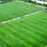 Mendadak Pindah! Ini Alasan Sriwijaya FC Batalkan TC di Hambalang