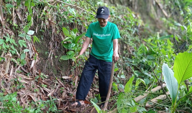 Tiga Lokasi Penanaman Paling Mendesak Tahun Ini: Wonogiri, Cilacap, Mempawah. Foto: viralsumsel.com