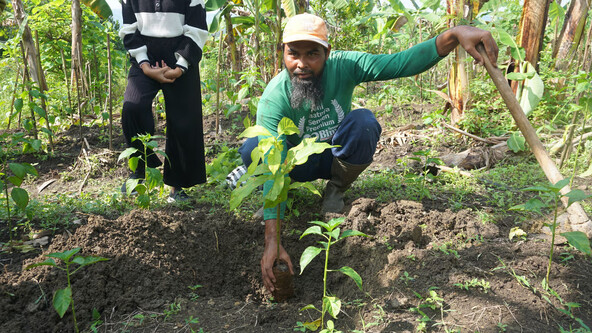 15 Ribu Pohon Ditanam di Jabungan, Warga Masih Menanti Manfaat Ekonomi. Foto: viralsumsel.com