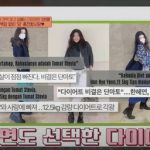 Camilan Sehat Selebriti Korea. Foto : viralsumsel.com