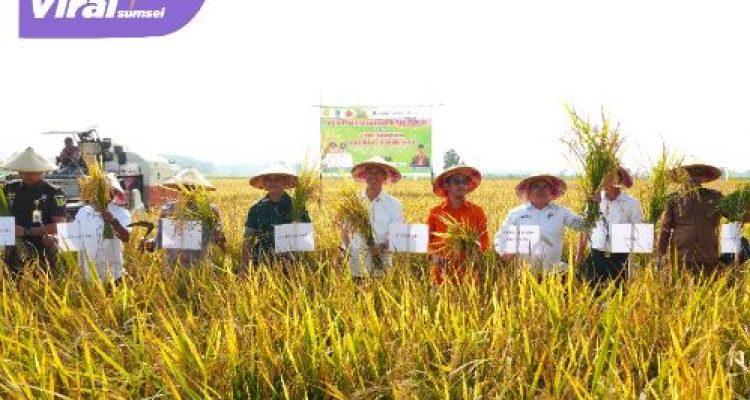 Optimalisasi Lahan Sawah di OKI Tingkatkan Indeks Pertanaman