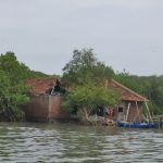 Lokasi penanaman di wilayah Bedono, Demak. Foto: viralsumsel.com