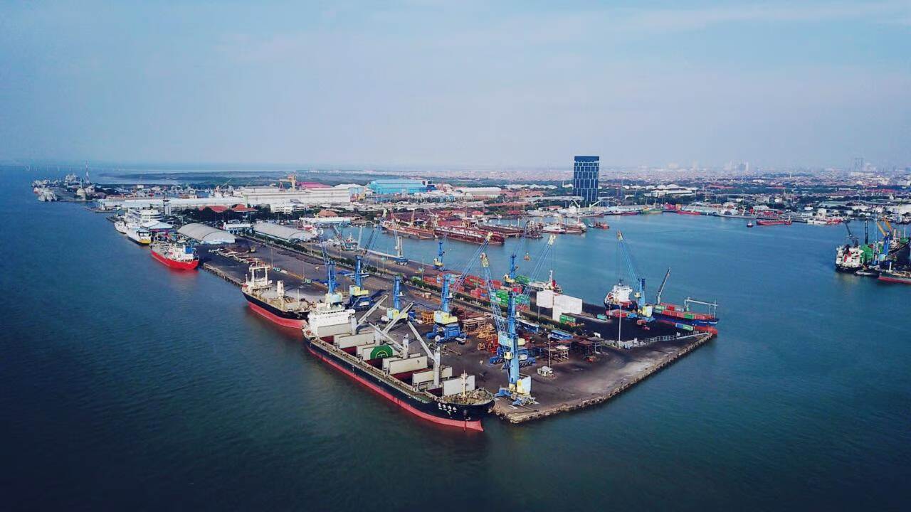Pelindo Multi Terminal Group Catat Kinerja Positif Semester I 2025, Trafik Barang Tumbuh Signifikan. Foto: viralsumsel.com