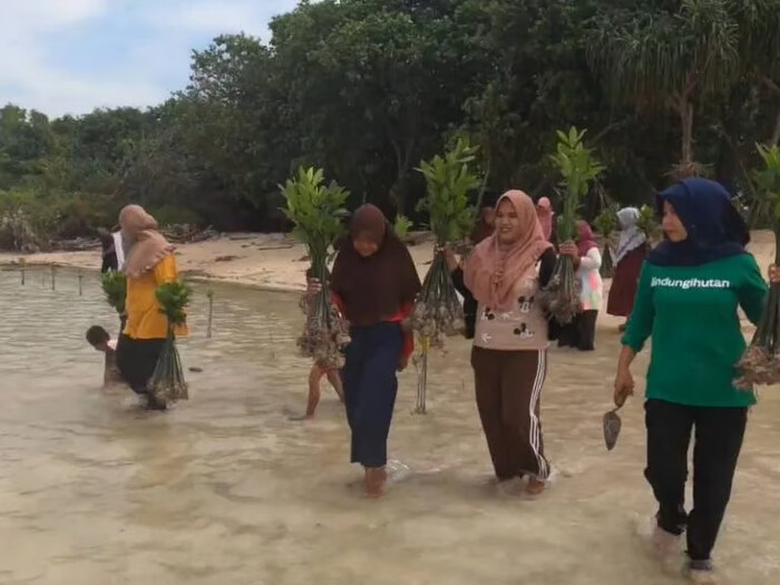 Perempuan Penjaga Pesisir: Mak Jah dan Teh Aas, Simbol Gerakan Hijau. Foto : viralsumsel.com