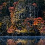 Rahasia Musim Gugur Hokkaido yang Tidak Banyak Diketahui Wisatawan!