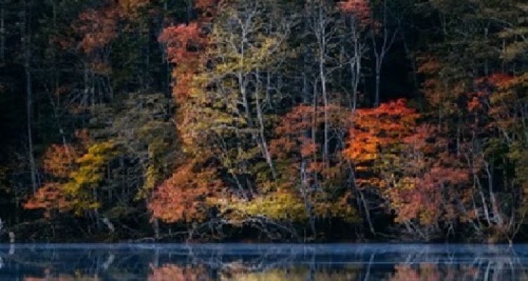 Rahasia Musim Gugur Hokkaido yang Tidak Banyak Diketahui Wisatawan!