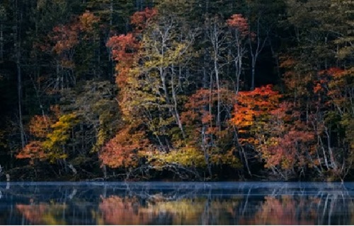 Rahasia Musim Gugur Hokkaido yang Tidak Banyak Diketahui Wisatawan!
