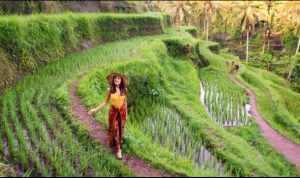 Bali Sun Tours Luncurkan Portofolio Pengalaman 2025 dan Pemesanan Langsung. Foto : viralsumsel.com