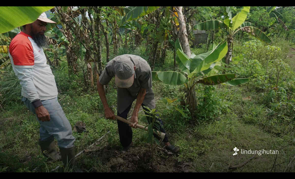 Hari-Tani-Nasional-2025_-LindungiHutan-Perkuat-Peran-Petani-dalam-Penghijauan-dan-Ketahanan-Iklim. Foto: Viralsumsel.com