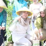 Ketua PKK Sumsel Feby Deru Dorong Kemandirian Pangan Keluarga dari Pekarangan Rumah
