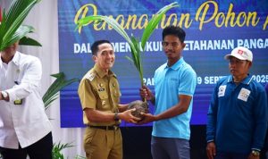Tanam Bibit Pohon Kelapa Serentak, Ratu Dewa Sukseskan Program Nasional
