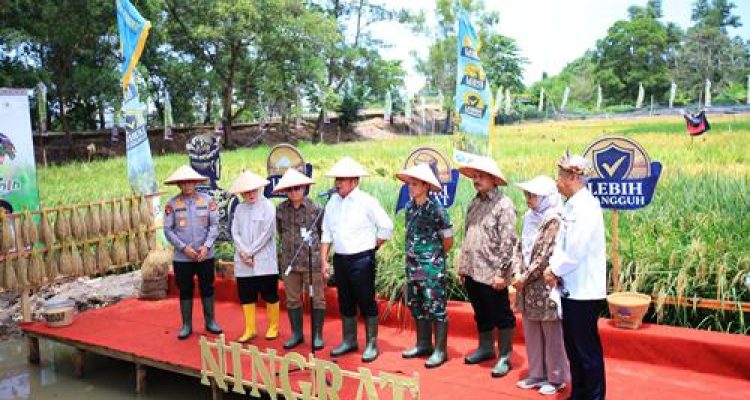 Sumsel Raih Apresiasi Kementan atas Inovasi Padi Apung dan Gerakan Mandiri Benih
