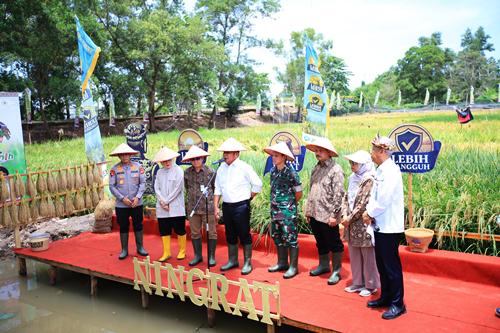 Sumsel Raih Apresiasi Kementan atas Inovasi Padi Apung dan Gerakan Mandiri Benih