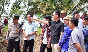 Bupati OKI Blusukan Cek Lahan Cetak Sawah dan Pembangunan Jalan