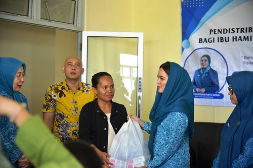 Putri Azizah Tekankan Gizi Ibu Hamil, Target Zero Stunting di Palembang