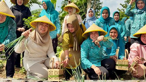 Kolaborasi PKK Sumsel-Palembang Hidupkan Dasawisma dan Pasar Tani