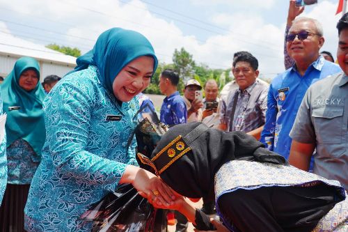 Lidyawati Cik Ujang Tekankan Revitalisasi PKK di Desa Sinar Harapan Mulya OKI