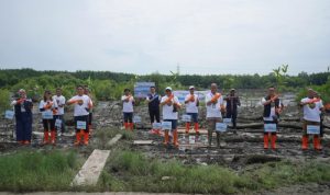 Pelindo Multi Terminal Group Tanam 11.000 Mangrove Bawa Manfaat Bagi Masyarakat. Foto : viralsumsel.com