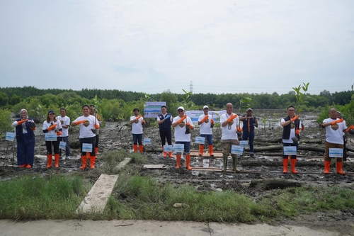 Pelindo Multi Terminal Group Tanam 11.000 Mangrove Bawa Manfaat Bagi Masyarakat. Foto : viralsumsel.com