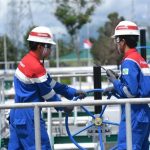 Pertamina NRE Tawarkan Solusi Terpadu Efisiensi Energi. Foto : viralsumsel.com