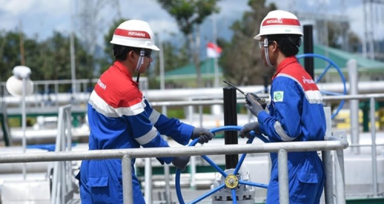 Pertamina NRE Tawarkan Solusi Terpadu Efisiensi Energi. Foto : viralsumsel.com